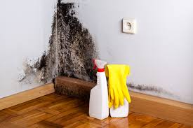 Best Mold Removal for HVAC Installations  in Castlewood, VA